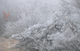 강한 바람 체감온도 -15도 안팎 강추위…전국 곳곳 눈